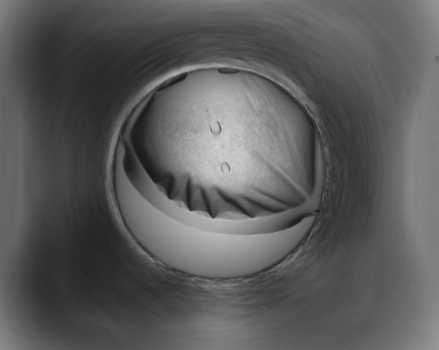 X0000088041536200705251251