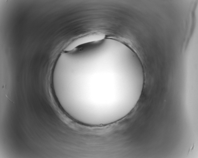 X0000088040001200706011332