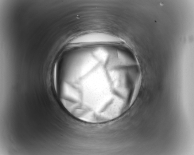 X0000088040002200706011332