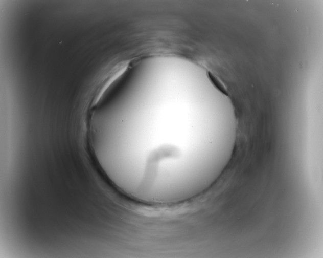 X0000088040005200706011332