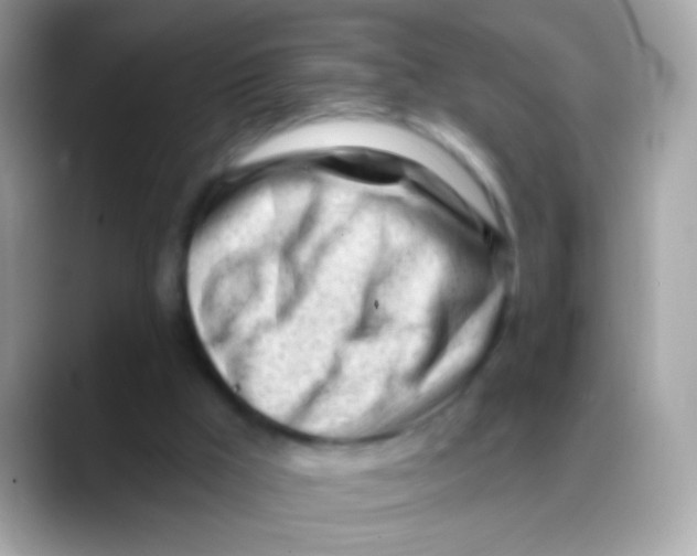 X0000088040009200706011332