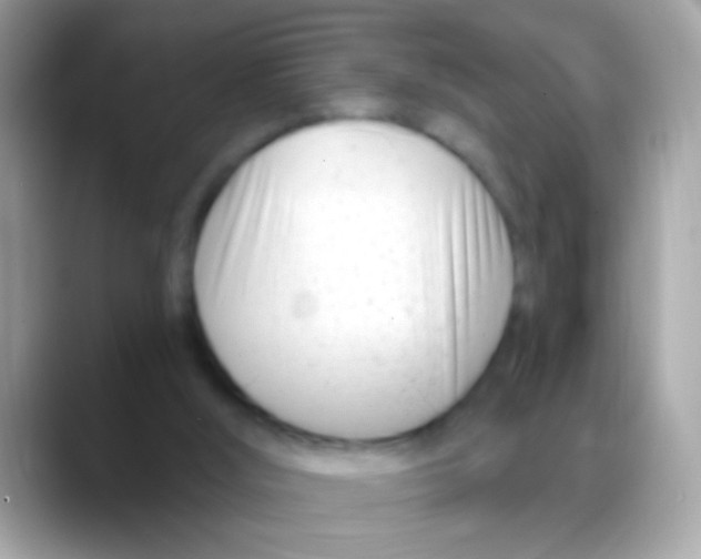 X0000088040012200706011332