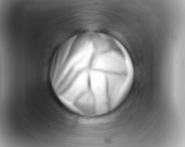 X0000088040018200706011332