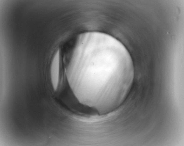 X0000088040019200706011332