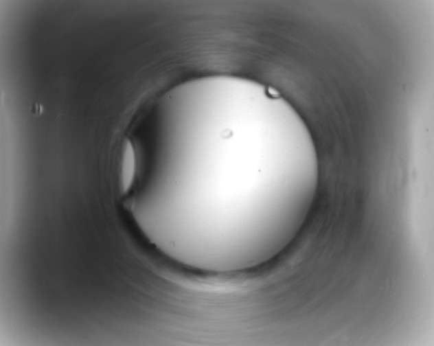 X0000088040020200706011332