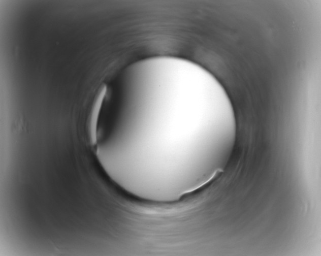 X0000088040021200706011332