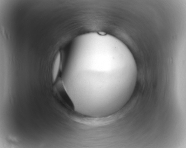 X0000088040023200706011332