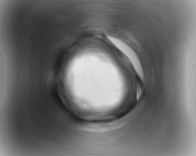 X0000088040029200706011332