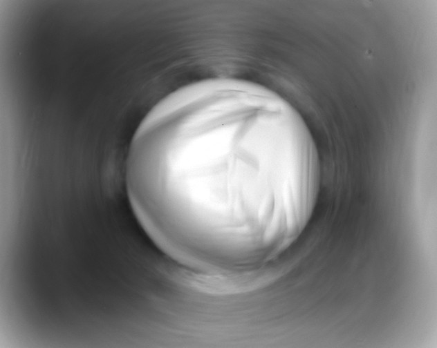 X0000088040030200706011332