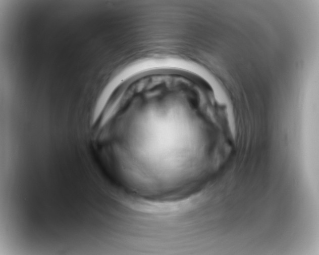 X0000088040031200706011332