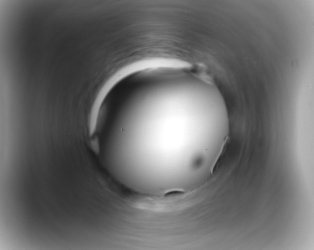 X0000088040033200706011332