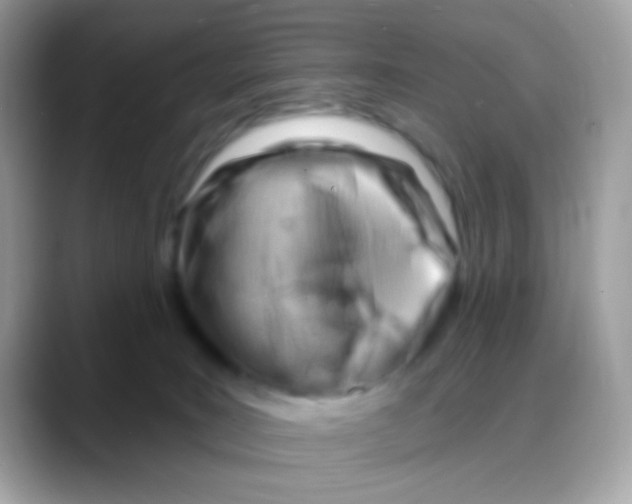 X0000088040035200706011332