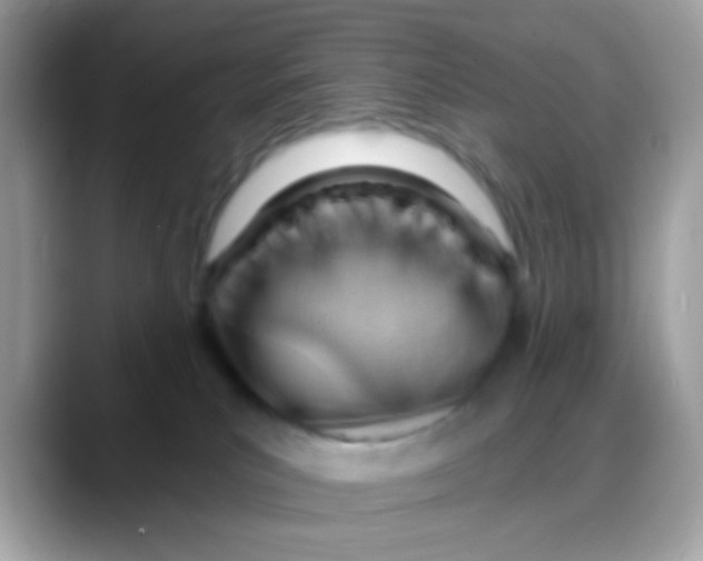 X0000088040039200706011332