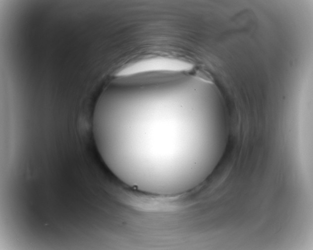 X0000088040040200706011332