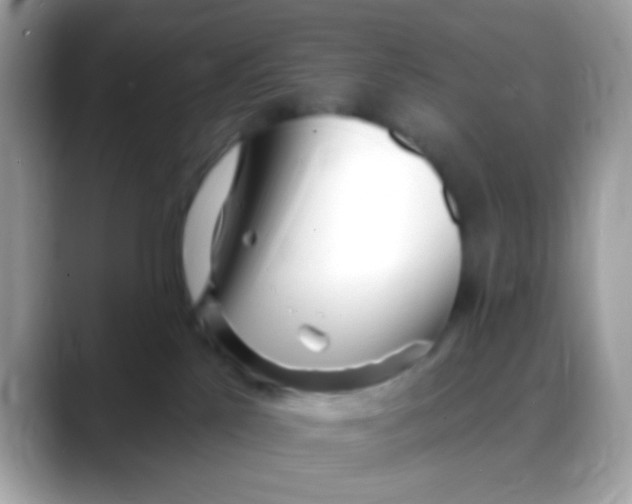 X0000088040041200706011332