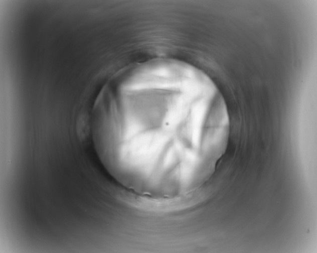 X0000088040043200706011332