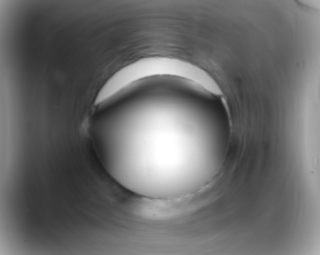 X0000088040045200706011332