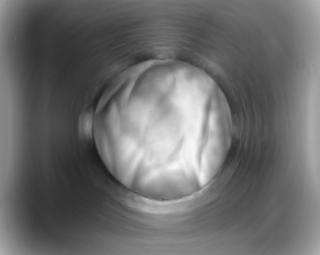 X0000088040047200706011332