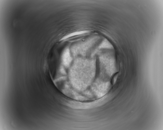 X0000088040048200706011332