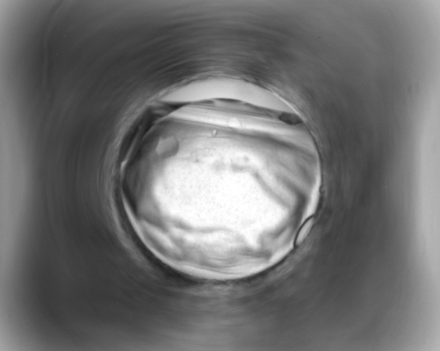 X0000088040049200706011331