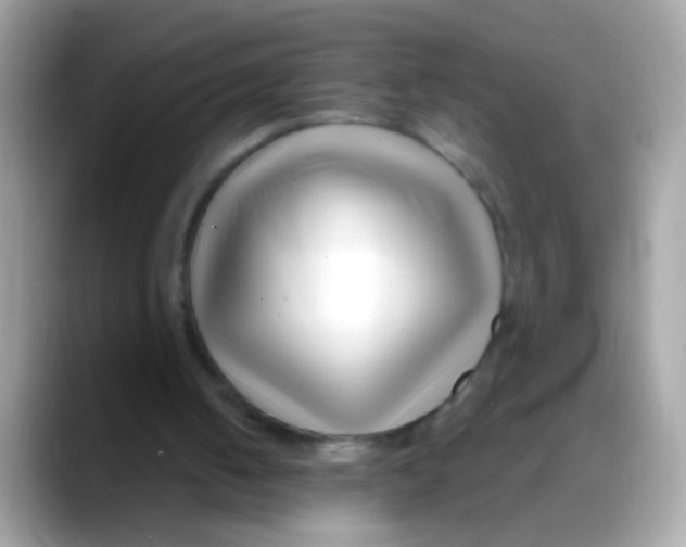 X0000088040050200706011331