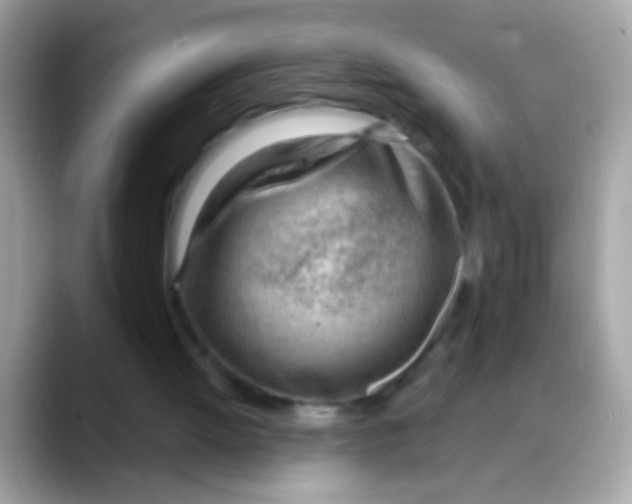 X0000088040052200706011331