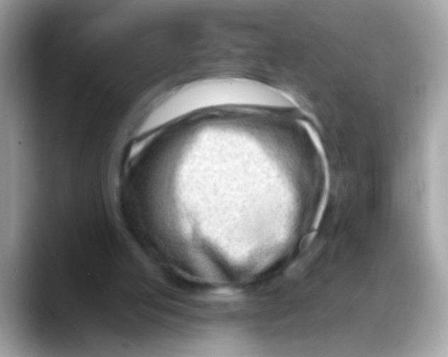 X0000088040053200706011331