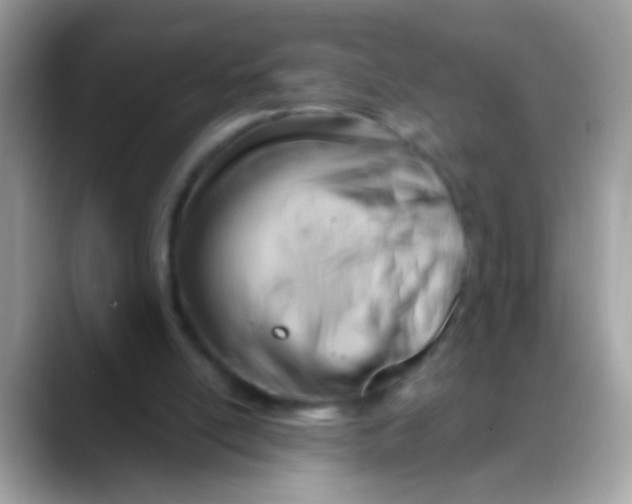 X0000088040054200706011331