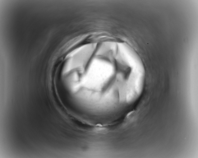 X0000088040055200706011331