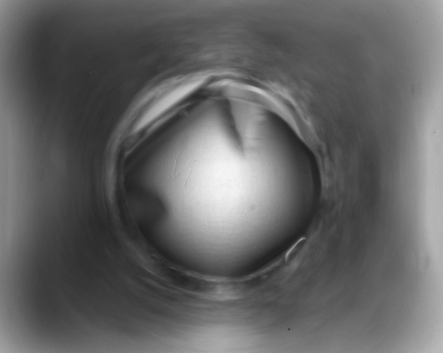 X0000088040056200706011331