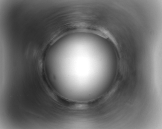 X0000088040057200706011331