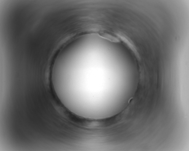 X0000088040058200706011331