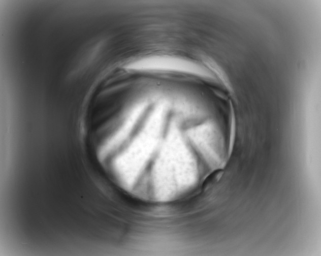 X0000088040059200706011331