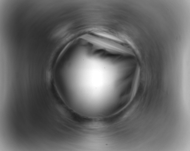 X0000088040063200706011331