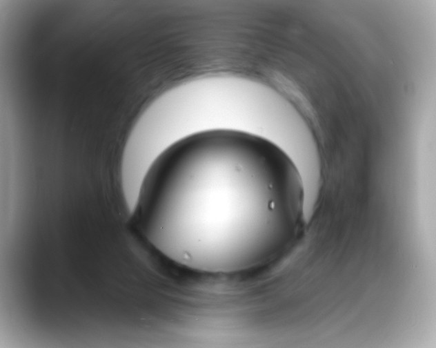 X0000088040065200706011331