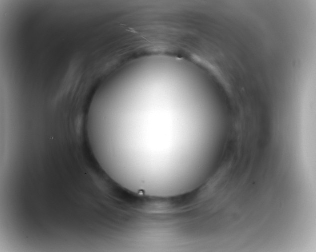 X0000088040066200706011331