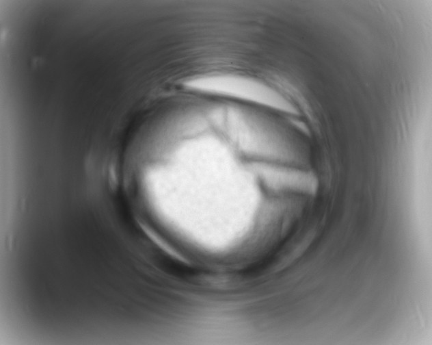 X0000088040069200706011331