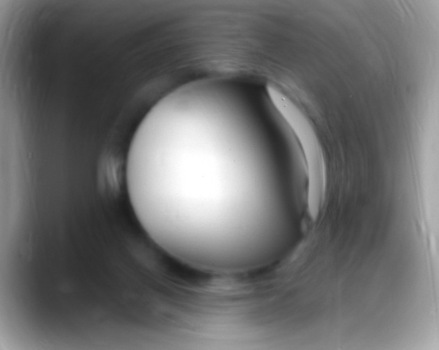 X0000088040070200706011331