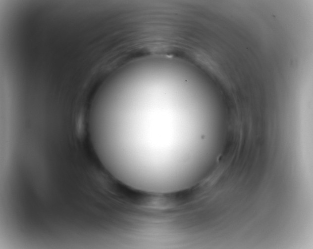 X0000088040074200706011331