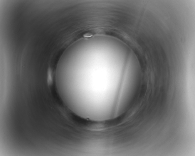 X0000088040075200706011331