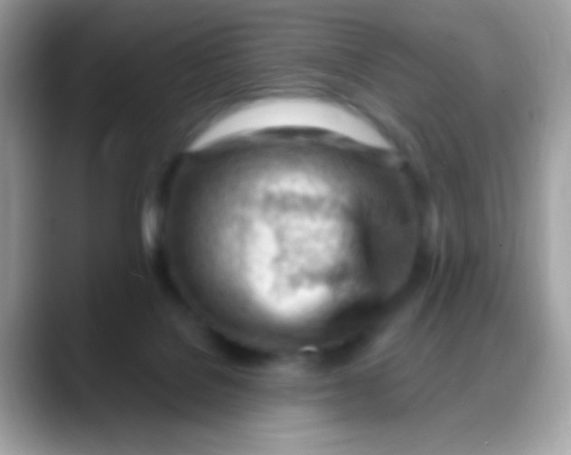 X0000088040076200706011331