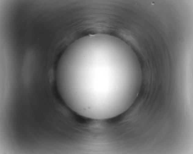 X0000088040077200706011331