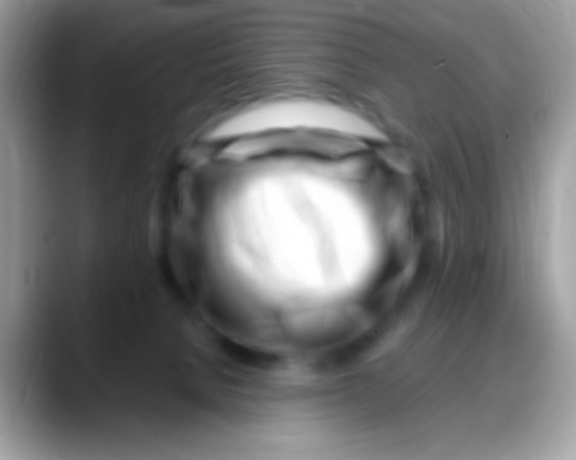 X0000088040080200706011332