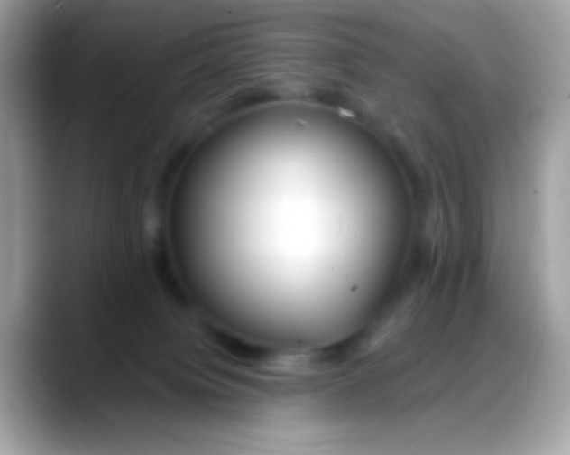 X0000088040084200706011332