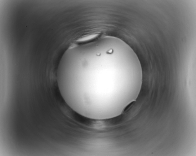 X0000088040091200706011332