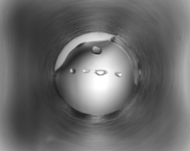 X0000088040093200706011332