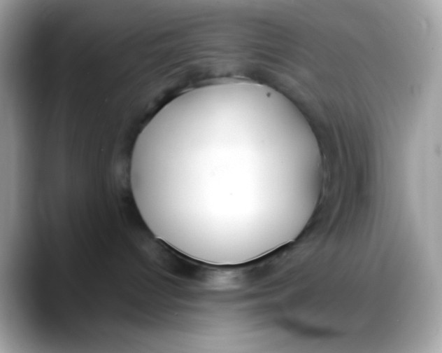 X0000088040096200706011332