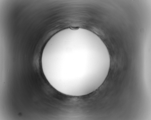 X0000088040098200706011331