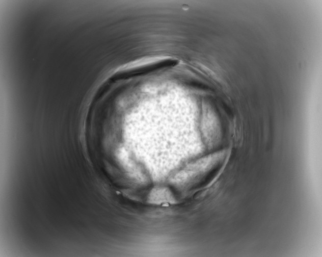 X0000088040099200706011331