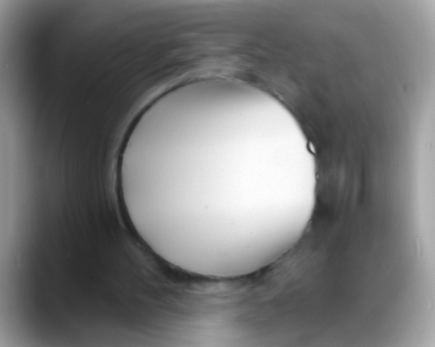 X0000088040100200706011331